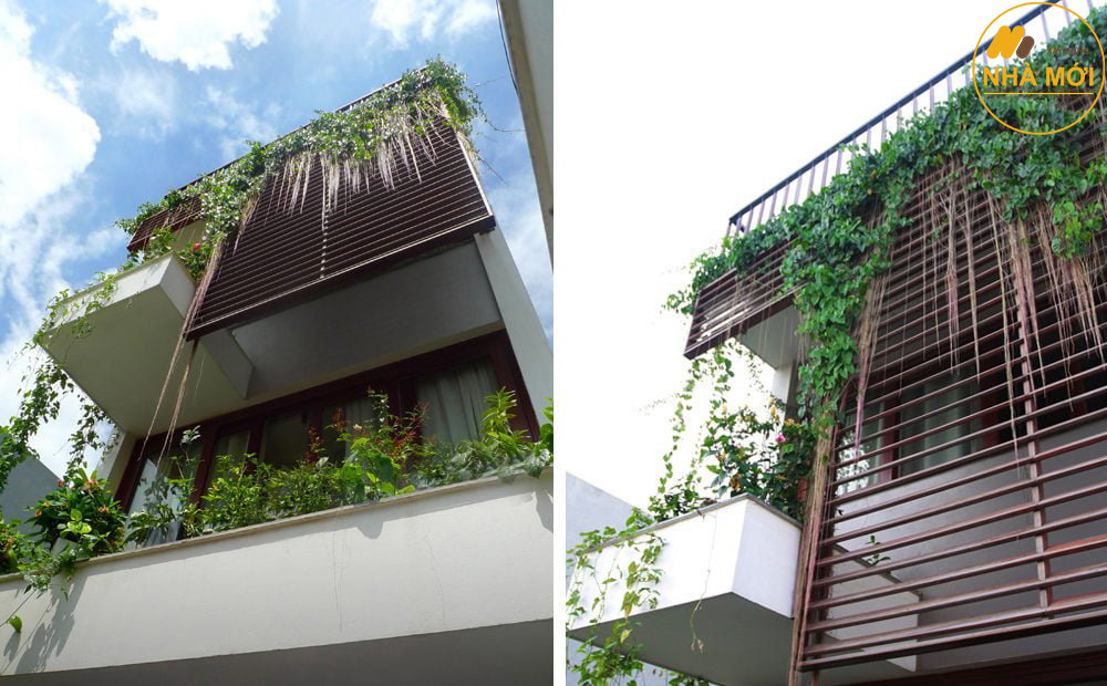 Trồng cây xanh là một giải pháp chống nóng cho ngôi nhà 