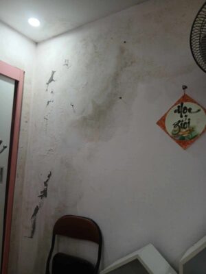 Cách xử lý tường giáp ranh bị thấm từ nhà hàng xóm và 5 lưu ý khi xây nhà để tránh lỗi này 4 574631751 1345998933700998 8907323342591941230 n