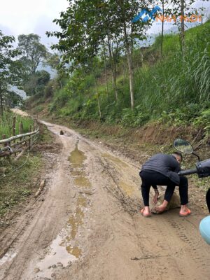 z7445490243338 2100f99e4e51898fda31c17d54215d98