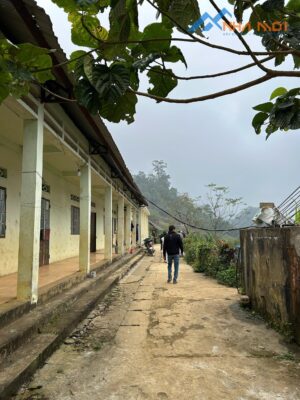 z7445493862806 e22da59153aafc934c24ad3041e202ac